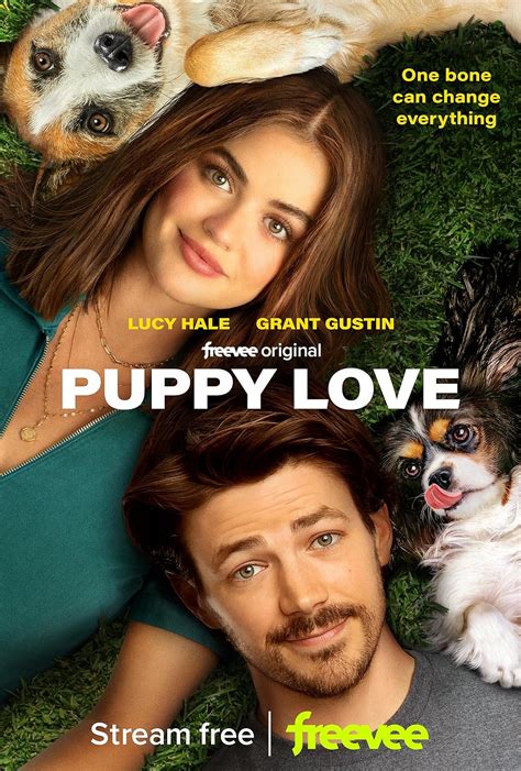 imdb puppy love